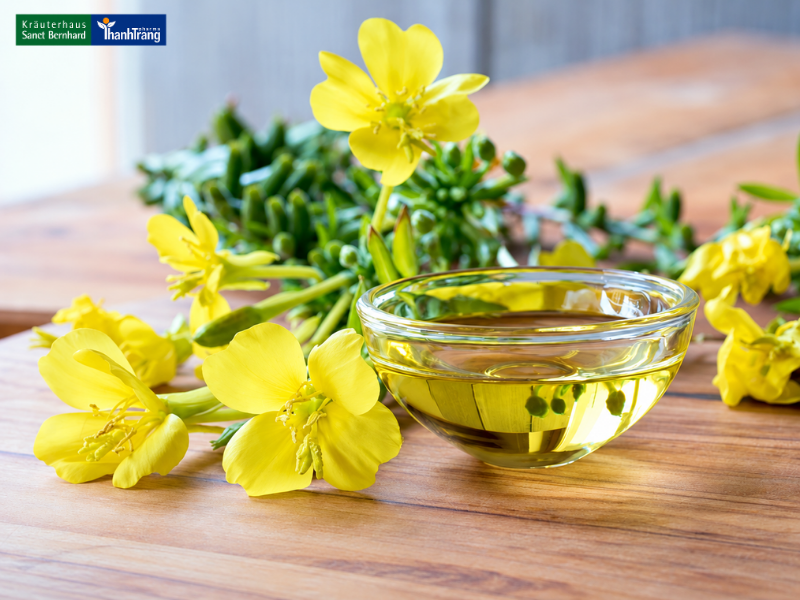 Tinh Dầu Hoa Anh Thảo: Bí Quyết Gìn Giữ Nét Xuân